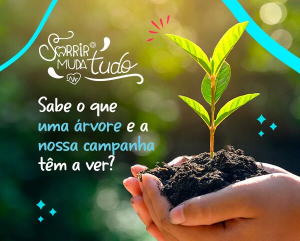 Topo